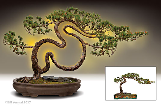 Pharmaceutical images photo illustration digital imaging